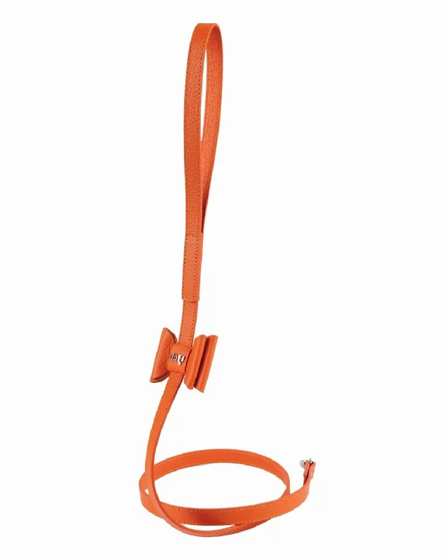  . **Cat drinking fountain filter model**Bisou Cat Leash