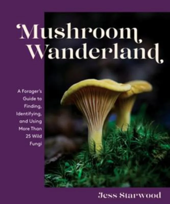 - Cat anti-jump window safety netMushroom Wanderland