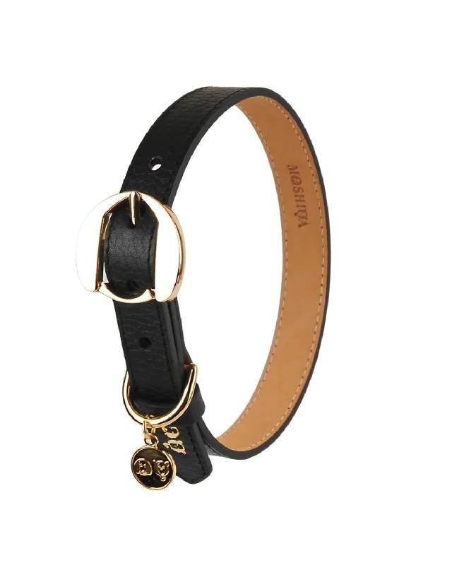  . **Pet traction rope is anti-explosion**Hachiko Dog Collar