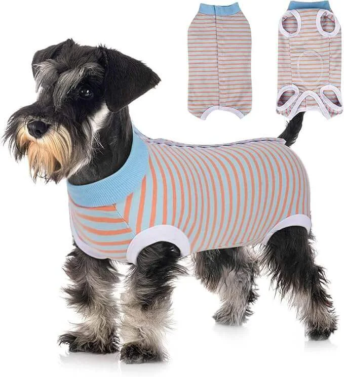 - Car dog seat beltKUTKUT Puppy Kitten Surgical Suit, Surgery Recovery Suit for Female Dogs After Spay, Dog Cats Surgical Onesie with Pee Hole Collar Cone Alternative for Abdominal Wounds (Blue) - Car dog seat beltKUTKUT Puppy Kitten Surgical Suit, Surgery Recovery Suit for Female Dogs After Spay, Dog Cats Surgical Onesie with Pee Hole Collar Cone Alternative for Abdominal Wounds (Blue)