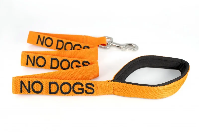 - Pregnant cat delivery room warming boxNo Dogs Lead