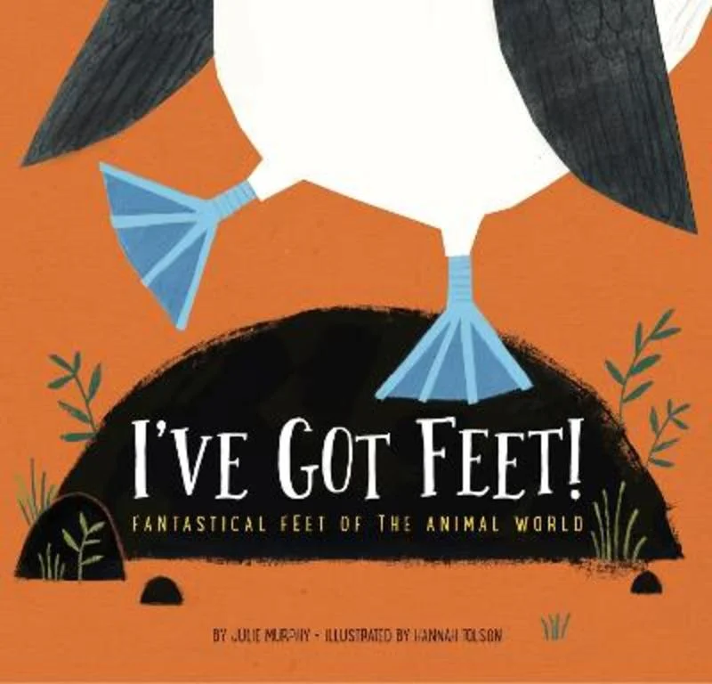 - ​​Pet toys under    yuanI've Got Feet