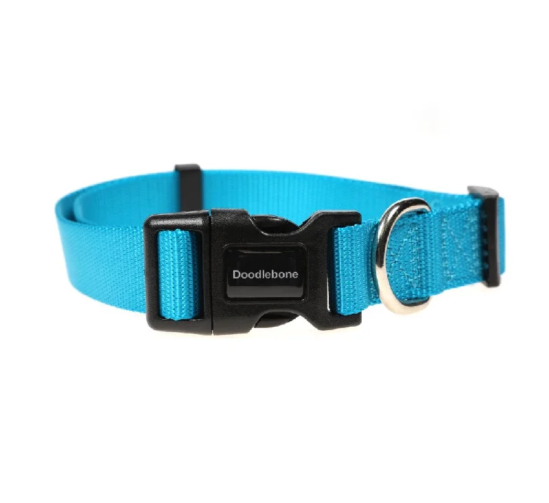 - Foldable and portable cat bagDoodlebone Aqua Dog Collar