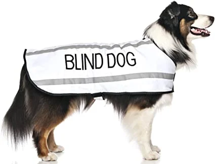 - Pet monitor with cameraBlind Dog Coat