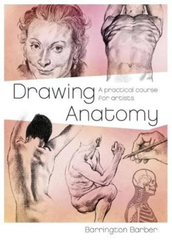 - ​​Pet toys under    yuanDrawing Anatomy
