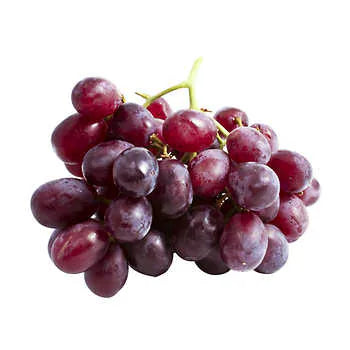 - Organic cotton dog bibsCandy Heart Grapes
