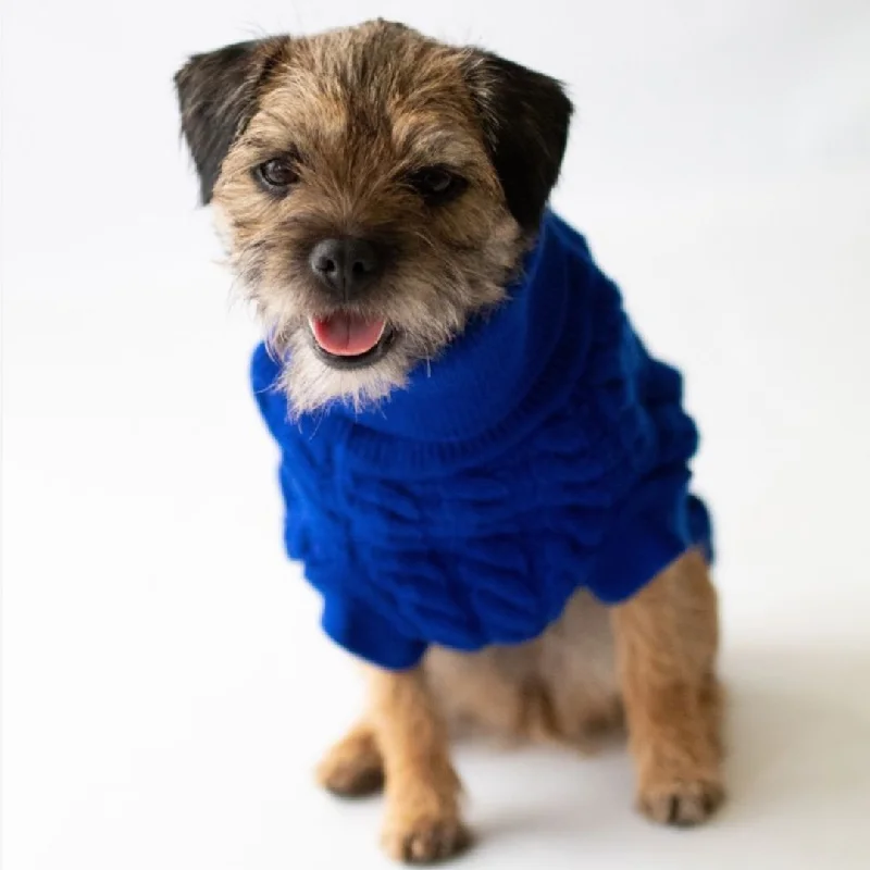 - Chinchilla cooling ice nest ceramic plateThe Rascal Dog Jumper in Blue