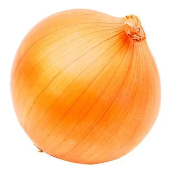 - Automatic temperature adjustment cat bedYellow Onions