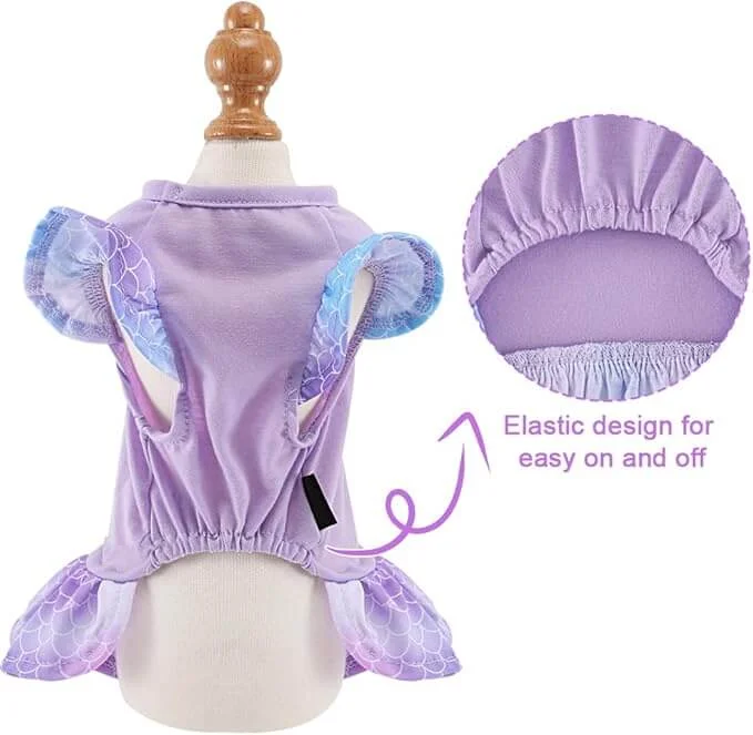 - Custom pet birthday cakeKUTKUT Dog Clothes Girl Dog Dress Puppy Dresses Pet Dress Shirt Female Cavalier King, Frenchi Cat Tulle Dress Birthday Party Lace Costume Stripes Tutu Skirt Apparel Bow Outfit (Purple) - Custom pet birthday cakeKUTKUT Dog Clothes Girl Dog Dress Puppy Dresses Pet Dress Shirt Female Cavalier King, Frenchi Cat Tulle Dress Birthday Party Lace Costume Stripes Tutu Skirt Apparel Bow Outfit (Purple)