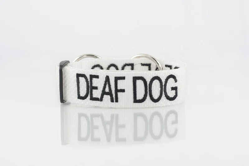 - Dog disposable foam shower gelDeaf Dog Snap Collar