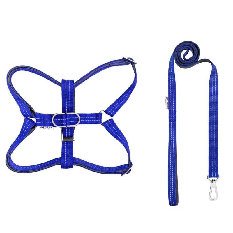 - Cat nail clippers with LED lightsBowl and Bone Active Blue Dog Harness and Lead Set - Cat nail clippers with LED lightsBowl and Bone Active Blue Dog Harness and Lead Set