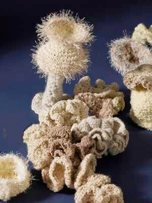  -Non-contact cat thermometerHyperbolic Crochet Motifs Pattern