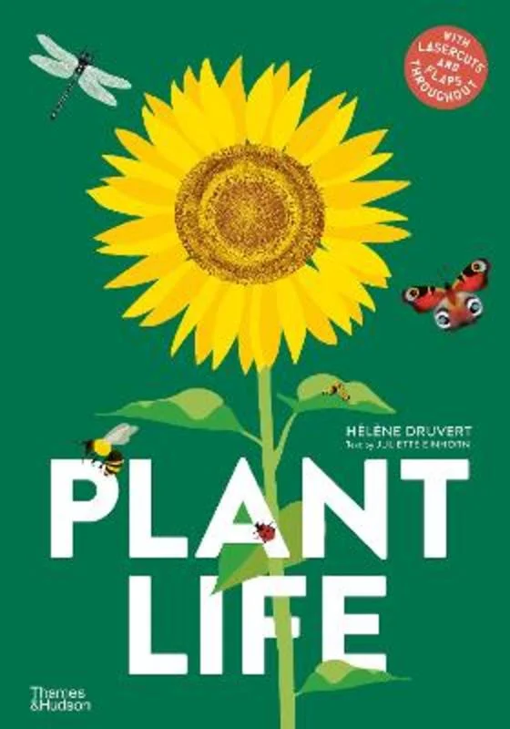 - ​​Christmas pet Christmas clothingPlant Life