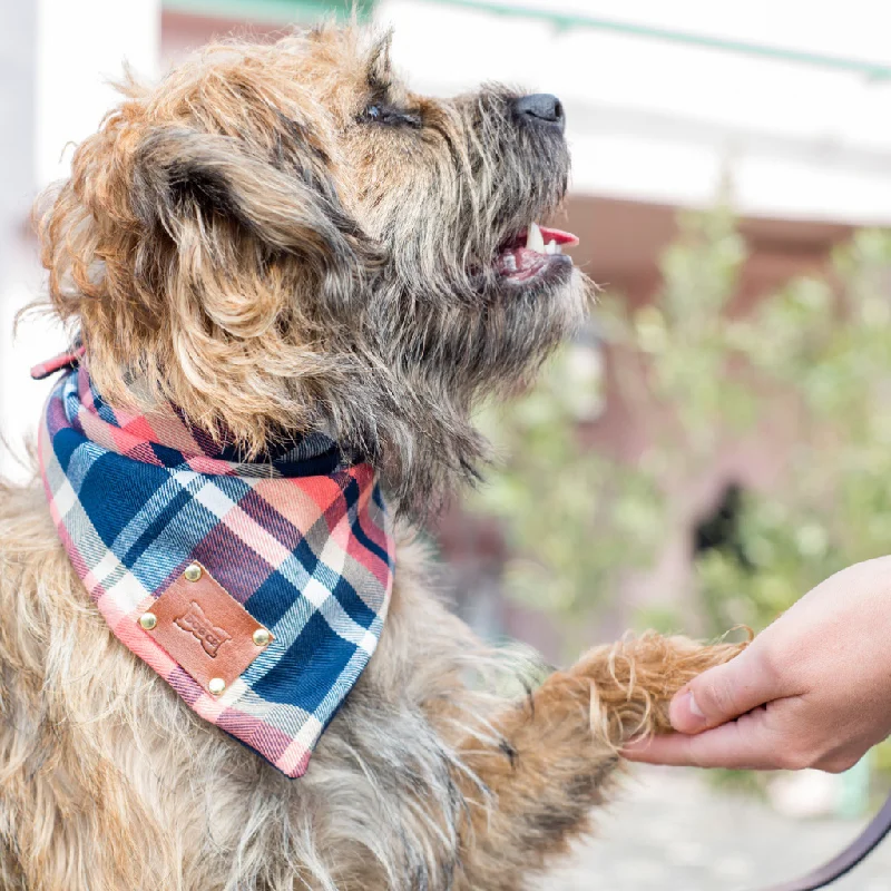  -Anti-scratch scratching board AND cat bed in oneHercules Dog Bandana Neckerchief