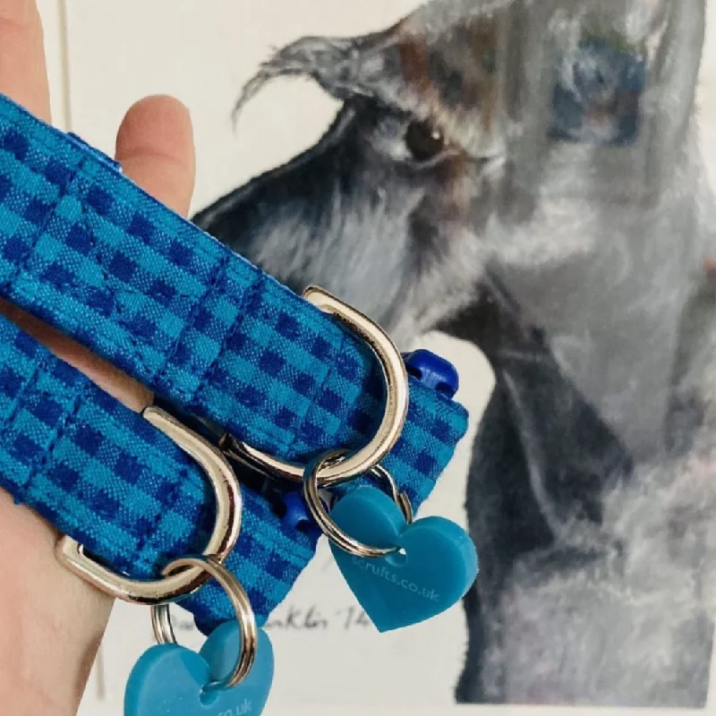 - Teething and chewing toys for puppiesIves Turquoise Check Dog Collar with Velvet Lining - Teething and chewing toys for puppiesIves Turquoise Check Dog Collar with Velvet Lining