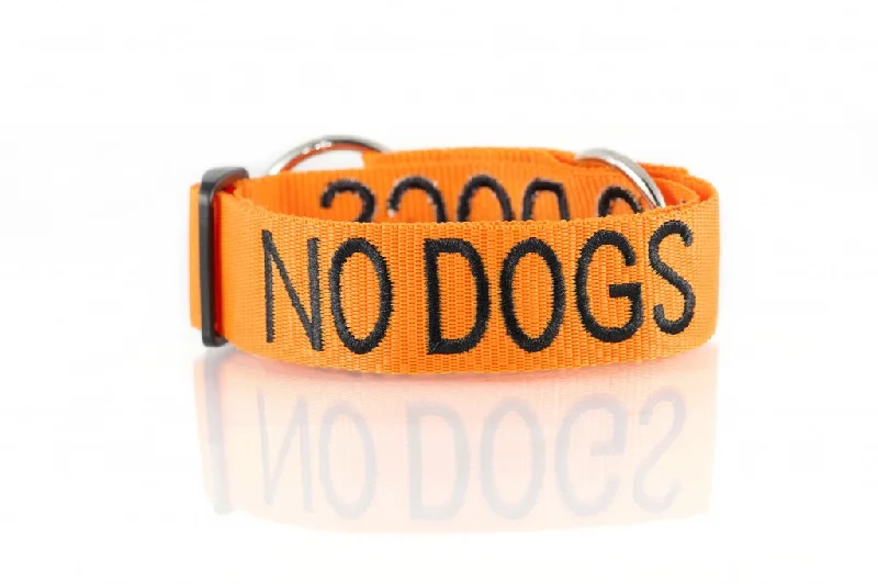 ---No Dogs Semi Choke Collar
