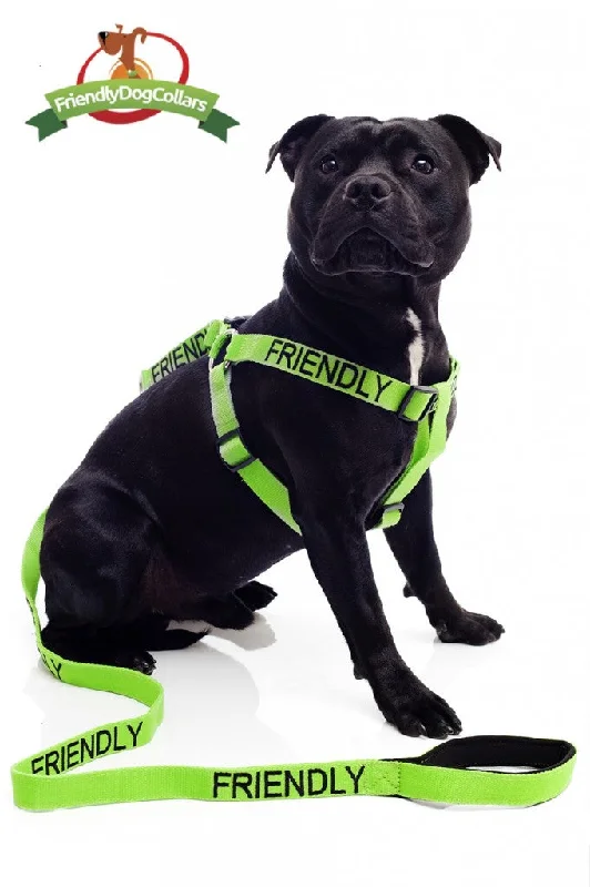  -Anti-slip claw protection raincoat FOR dogsFriendly Strap Harness