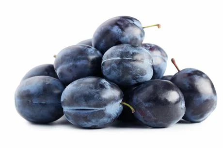 - ​​Pet toys under    yuanBlue Plums