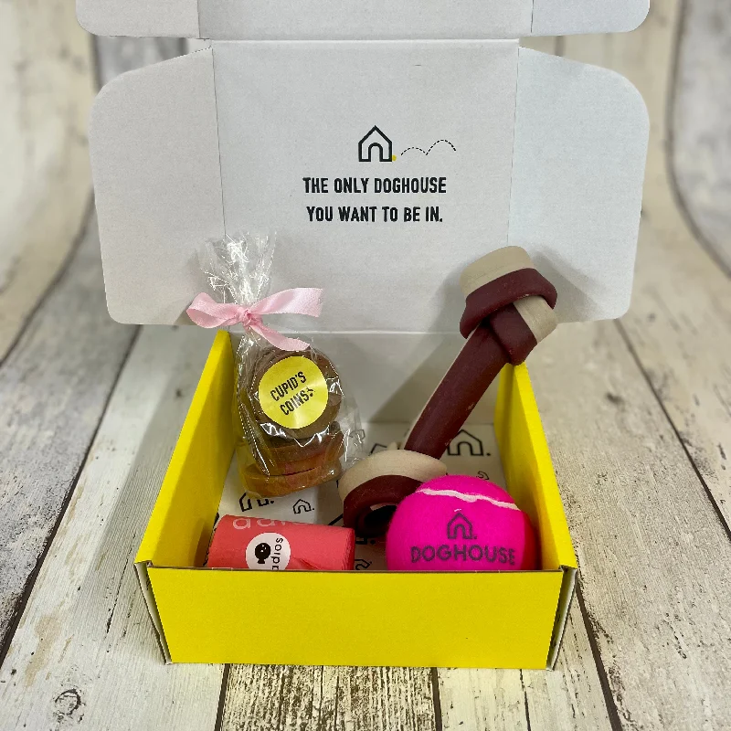 - Brand XX dog toy reviewsWedding Gift Box for Dogs