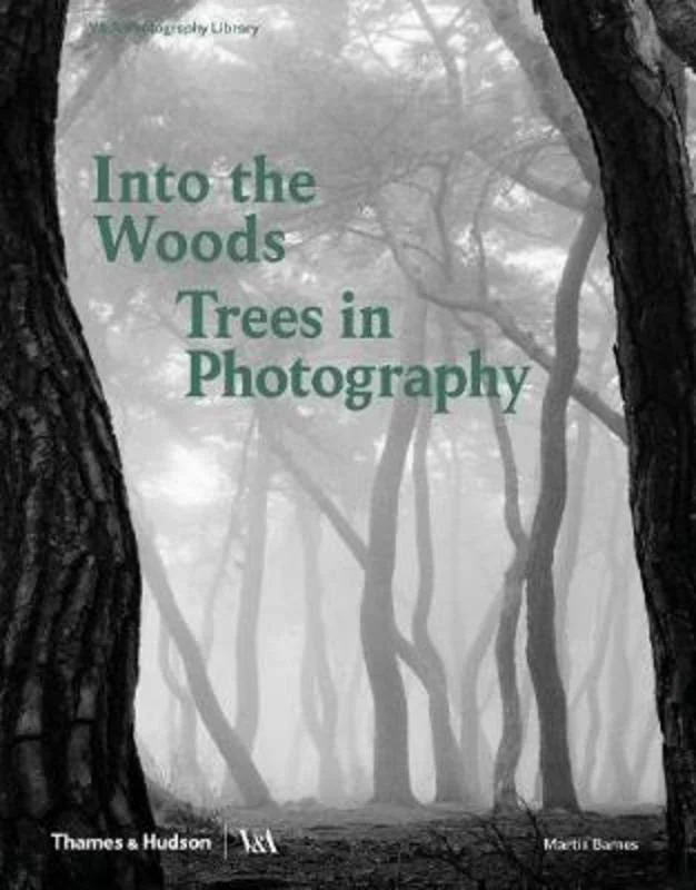 - Automatic temperature adjustment cat bedInto the Woods: Trees in Photography