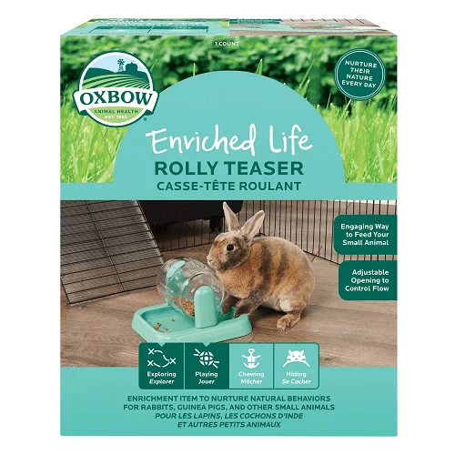 ---Enriched Life - Rolly Teaser