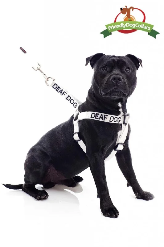 - Chinchilla cooling ice nest ceramic plateDeaf Dog Strap Harness