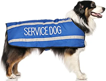 - Postoperative pet anti-licking Elizabethan collarService Dog Coat