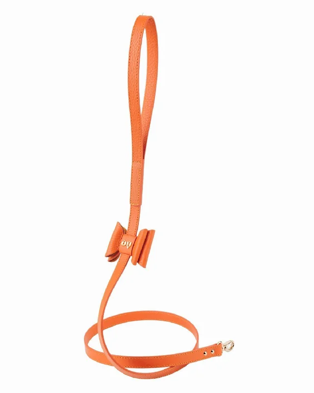  . **Pet mattress is waterproof and washable**Bisou Dog Leash