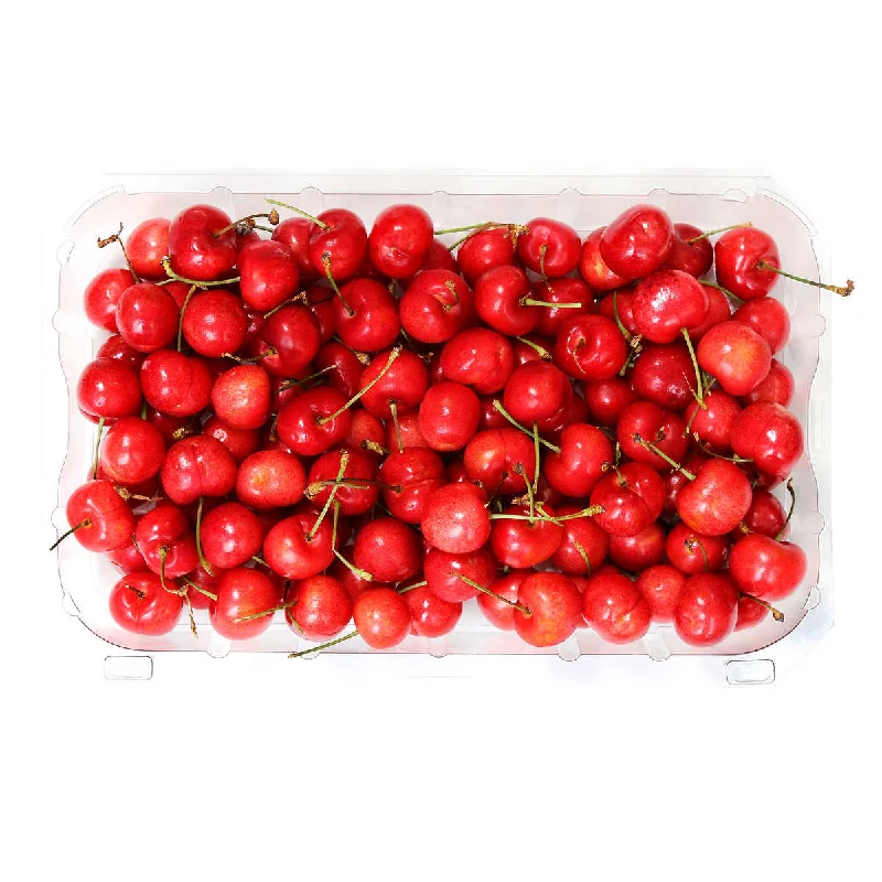 - Winter dog thick down jacketRed Cherries 1.36 kg