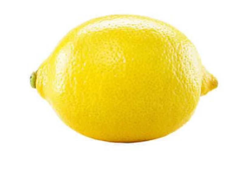 - Car dog seat beltLemons 3.64 kg