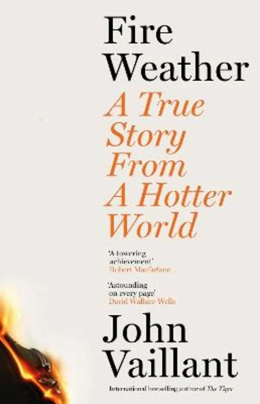 - ​​Pet toys under    yuanFire Weather
