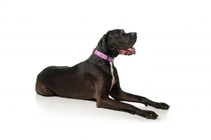 -Splash-proof food bowl AND Anti-choking slow food bowlDo Not Feed Semi Choke Collar