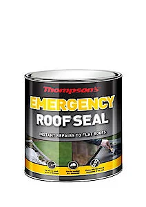 - Dog heart rate monitoring collarTers25L 2.5L Thompsons Emergency Roof Seal