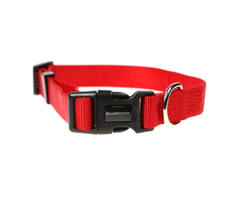  -Anti-scratch scratching board AND cat bed in oneDoodlebone Ruby Red Dog Collar