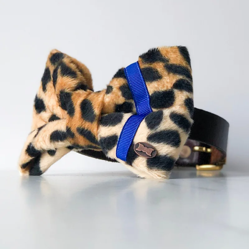 - Cat anti-jump window safety netNeon Leopard Dog Bow Tie | Blue