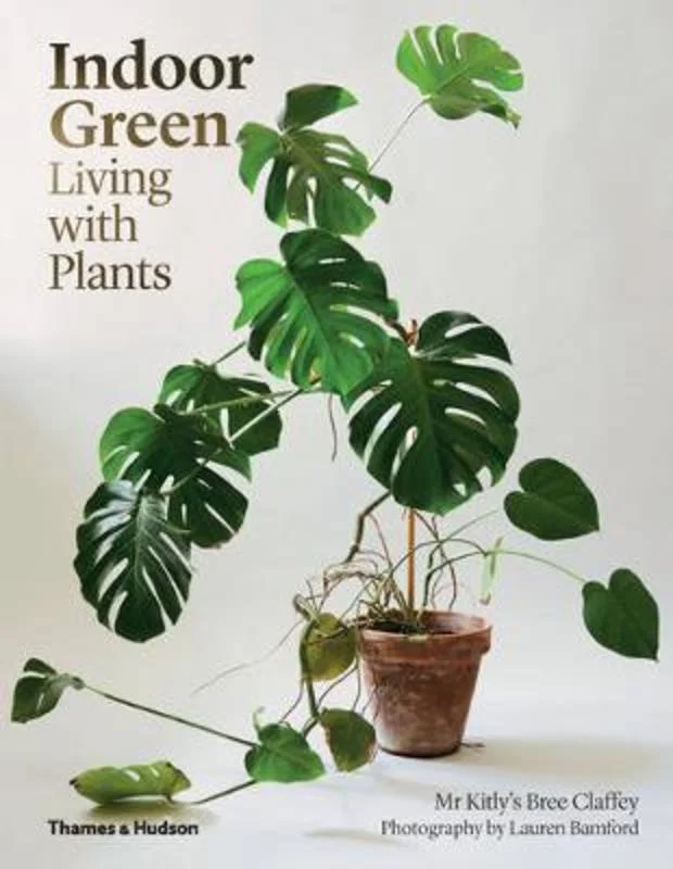 Pet ProductsIndoor Green