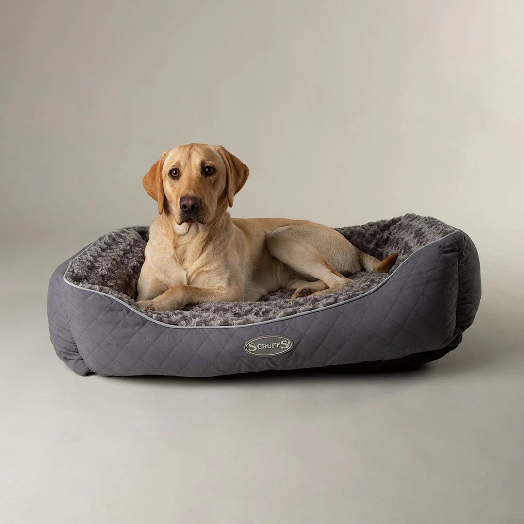 - Winter dog thick down jacketScruffs Wilton Box Dog Bed Grey
