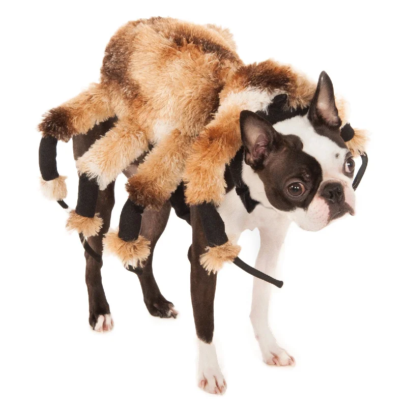 - Custom pet birthday cakeGiant Spider Pet Costume