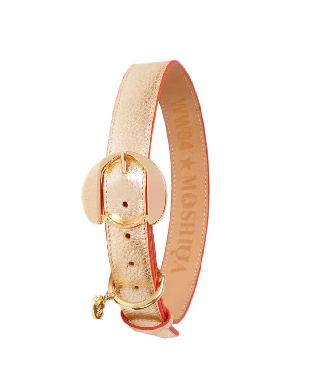  . **Cat clothes cute model**Golden Dog Collar of Loyalty