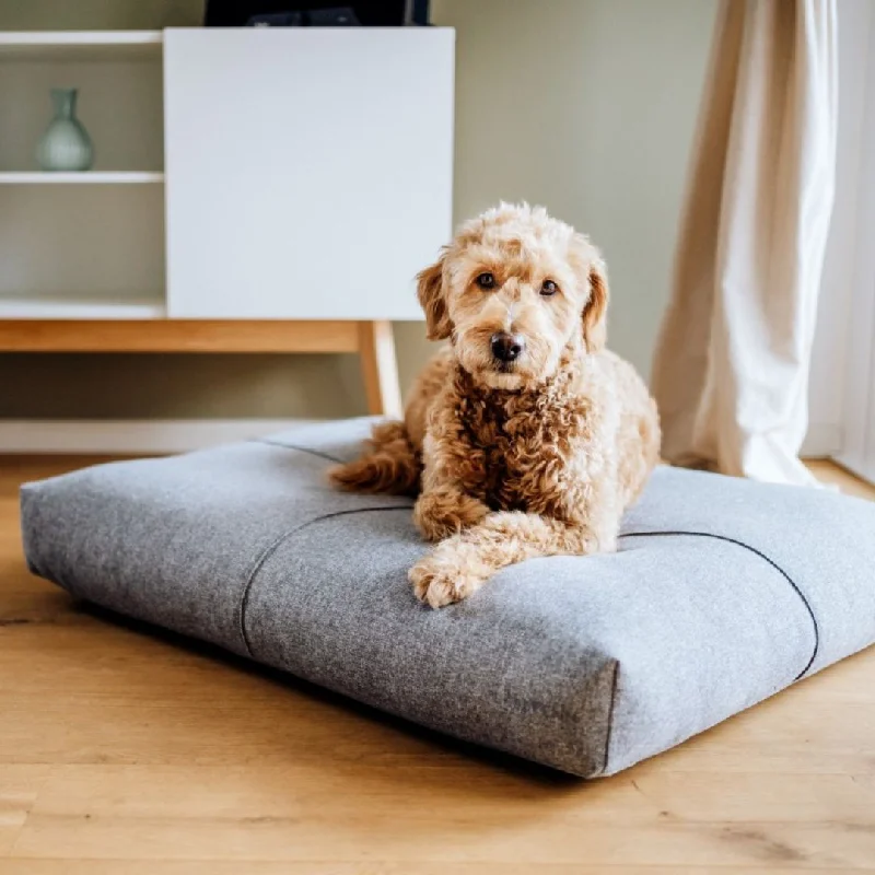 - Air box TSA certified check-inFinno Anthracite Cushion Dog Bed by Labbvenn