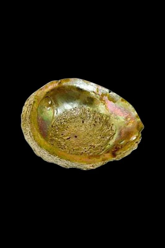 - Dog anti-slip matLarge Abalone Shell Natural Ashtray
