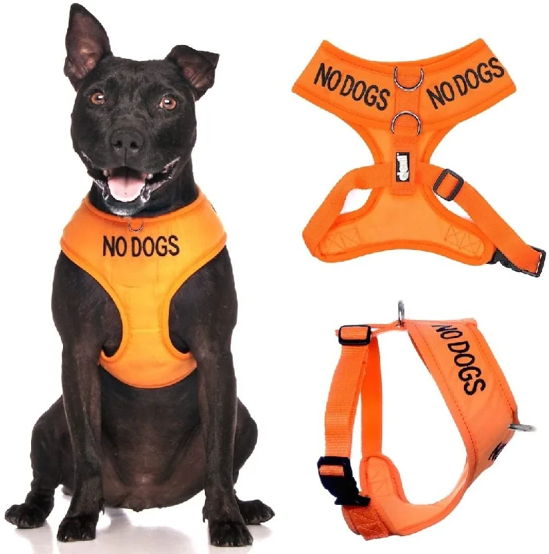 - ​​Pet toys under    yuanNo Dogs Vest Harness