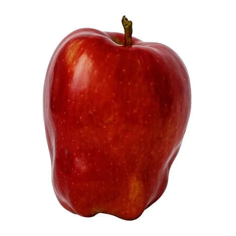- Postoperative pet anti-licking Elizabethan collarRed Delicious Apples 2.72 kg