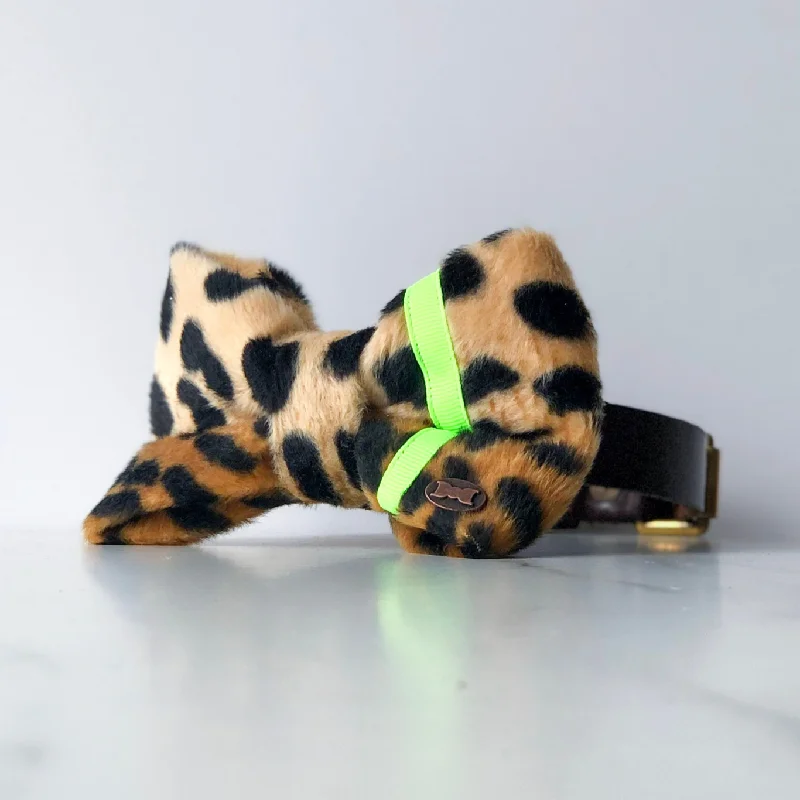 - Pet water dispenser UV sterilization versionNeon Leopard Dog Bow Tie | Yellow