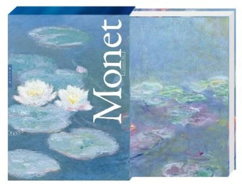- Postoperative pet anti-licking Elizabethan collarMonet