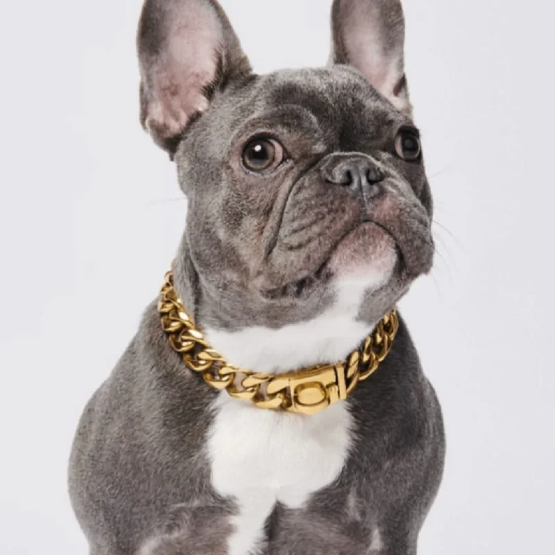 Pet holiday dress-up clothesCuban Link 20mm Gold Chain Collar