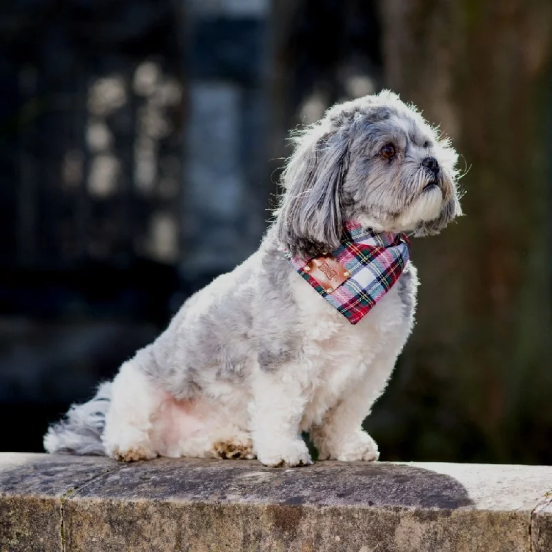 - Automatic induction pet water dispenserBloombury Tartan Dog Bandana Neckerchief