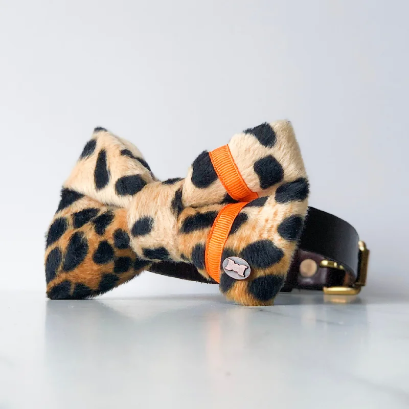 - Postoperative pet anti-licking Elizabethan collarNeon Leopard Dog Bow Tie | Orange