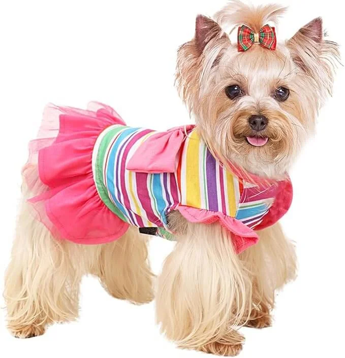 - Teething and chewing toys for puppiesKUTKUT Dog Clothes Girl Dog Dress Puppy Dresses Pet Dress Shirt Female Cavalier King, Frenchi Cat Tulle Dress Birthday Party Lace Costume Stripes Tutu Skirt Apparel Bow Outfit (Multi) - Teething and chewing toys for puppiesKUTKUT Dog Clothes Girl Dog Dress Puppy Dresses Pet Dress Shirt Female Cavalier King, Frenchi Cat Tulle Dress Birthday Party Lace Costume Stripes Tutu Skirt Apparel Bow Outfit (Multi)