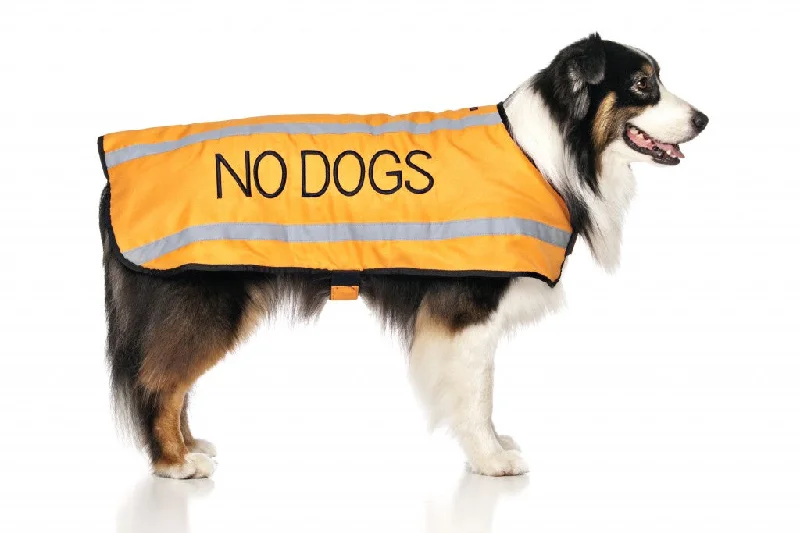 - Pet diabetes prescription foodNo Dogs Coat